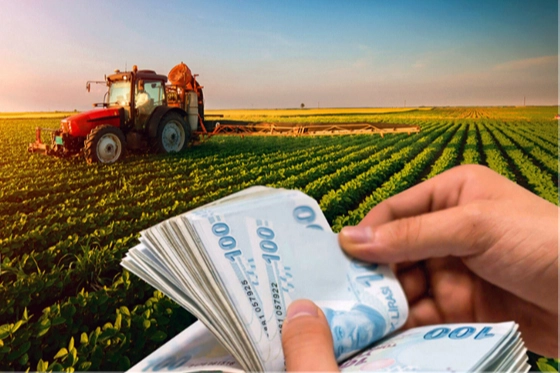 349 milyon TL'lik tarımsal destekler hesaplarda