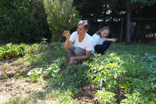 Altın Yıllar Yaşam Merkezi'nde hasat zamanı