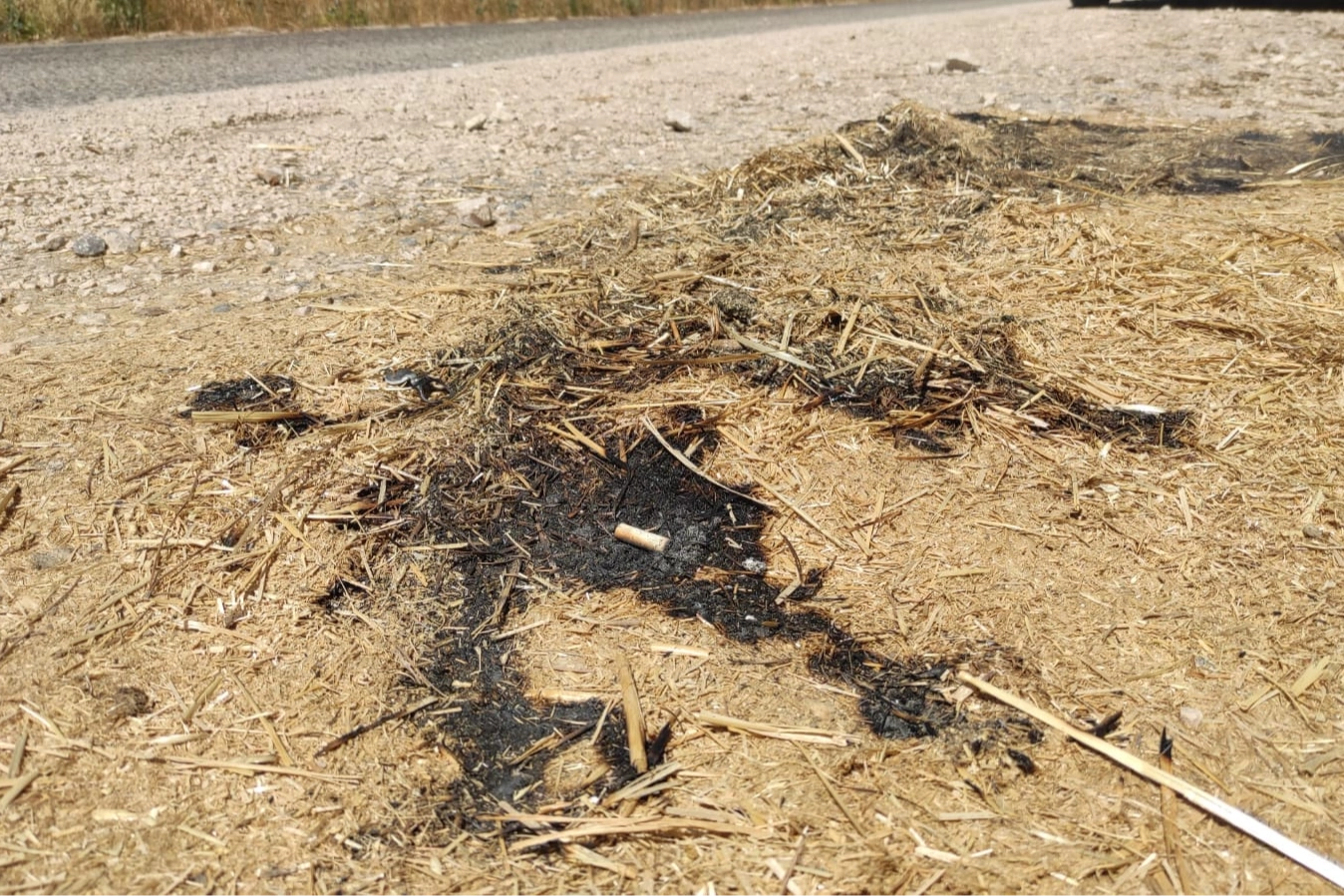 Bursa Yenişehir'de orman yangını son anda önledi