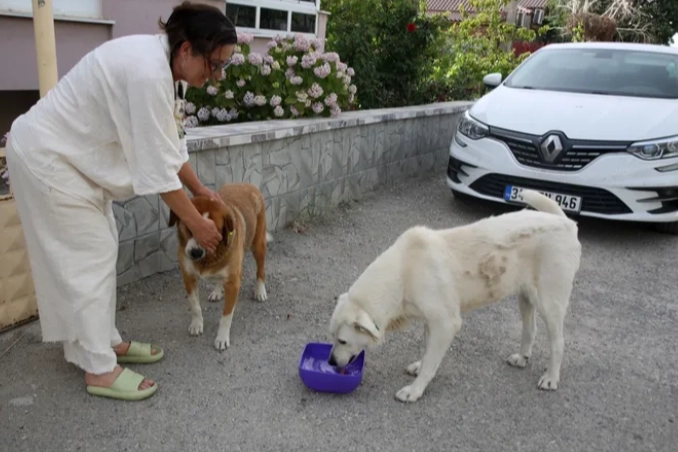 Edirne'de 200 bin TL borçla boğuşan KEHAY-KO’dan yardım çağrısı