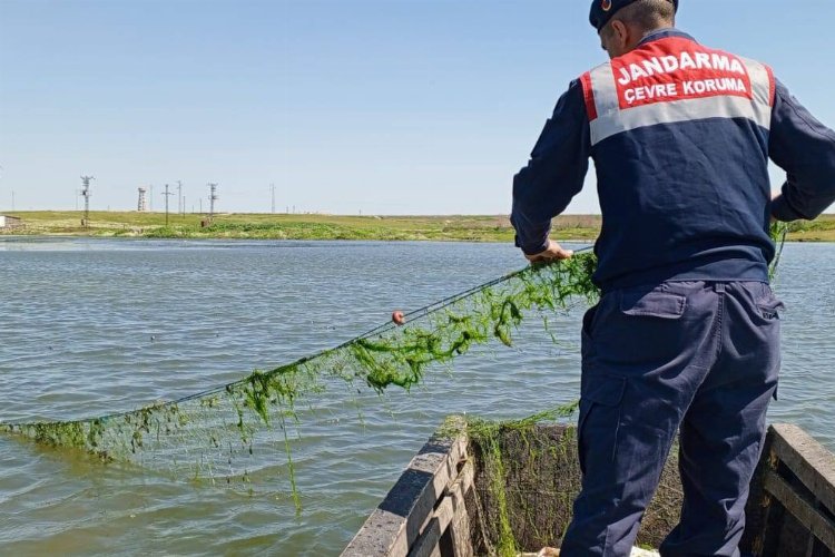 Edirne'de jandarma balık ağlarını topladı