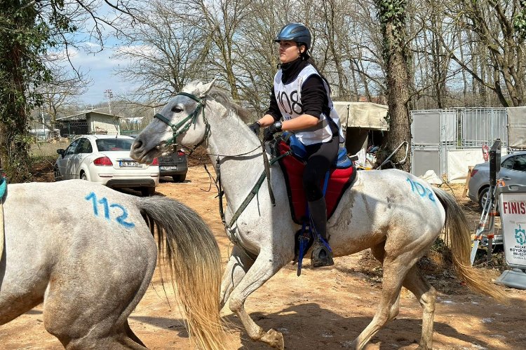 En dayanıklı atlar 120 km’lik parkurda yarıştı