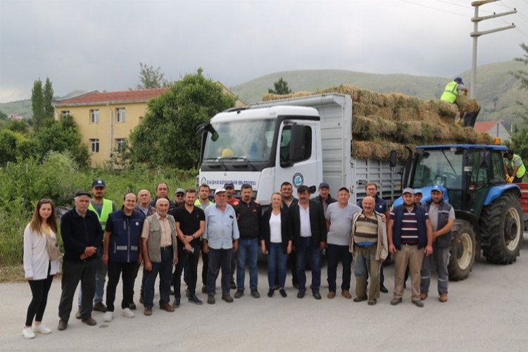 Eskişehir İnönü'de manda yetiştiricilerine balya desteği