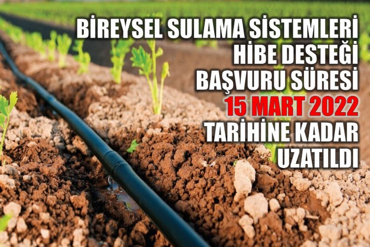 Hibe desteği başvuru süresi uzatıldı