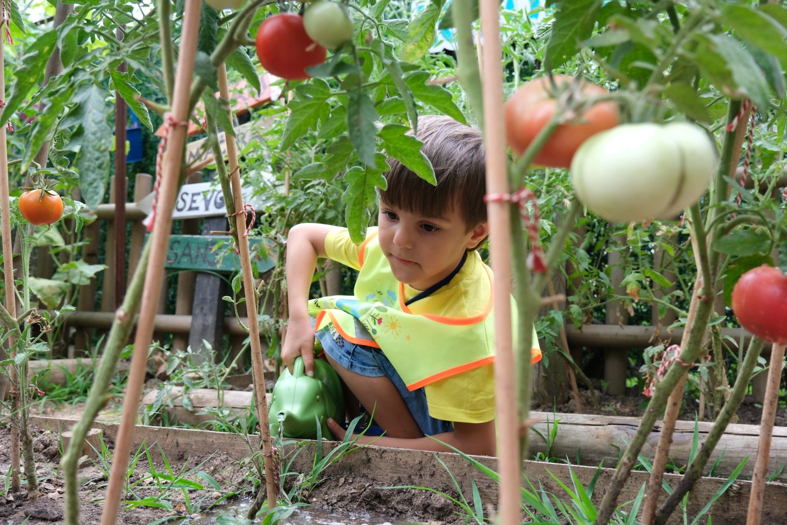Kocaeli'de Lokomotif Çocuk Köyü'nde hasat sevinci