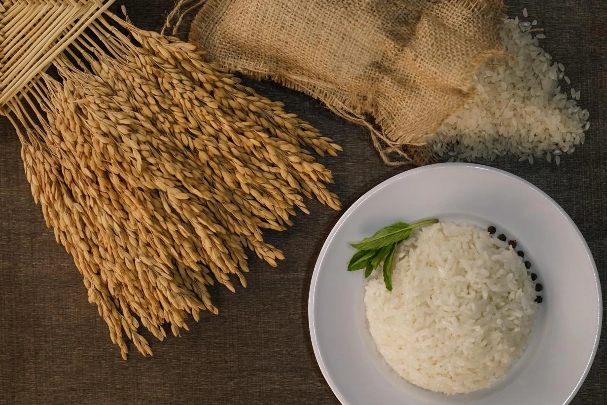 İpsala Pirinci'ne AB tescili... Trakya’nın ilk ve tek AB coğrafi işaretli ürünü