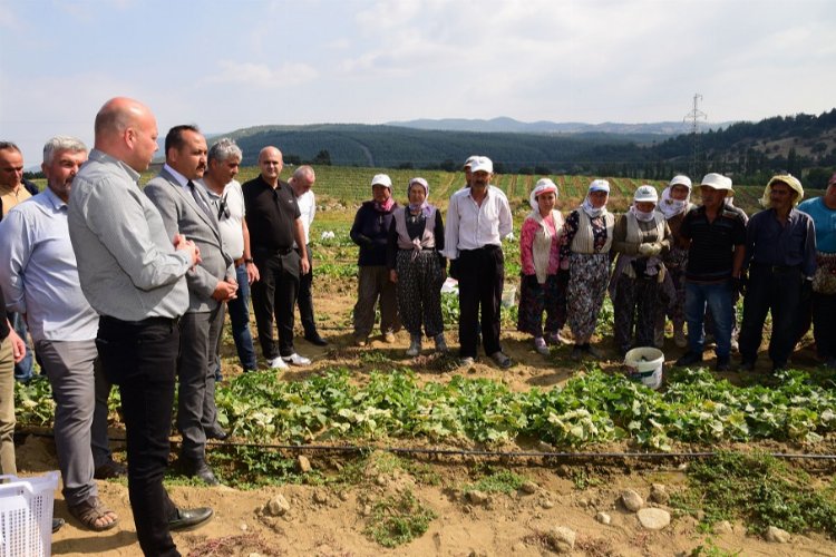 Tarım işçisinin koruyucu ekipmanları Manisa'dan