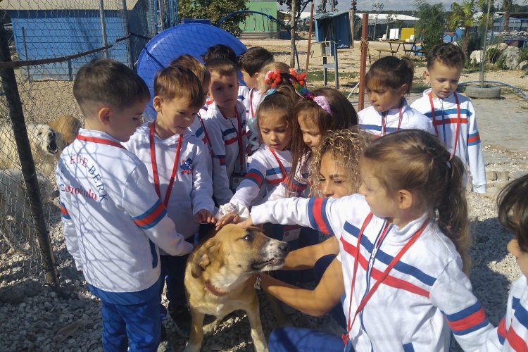 Bursa'da miniklerden sevimli dostlara renkli ziyaret