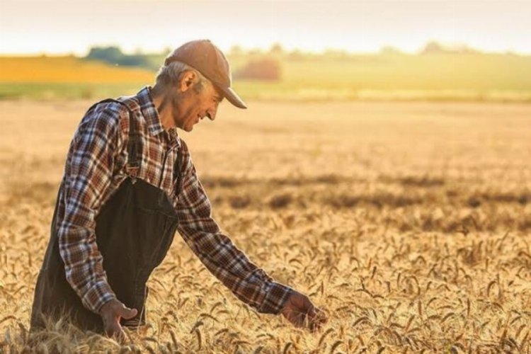 Bursa'da tarım sektörünün sorunları... Tarım yaşa takılıyor