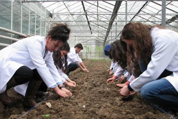 "Bursa'da tarıma yeterli önem verilmiyor"