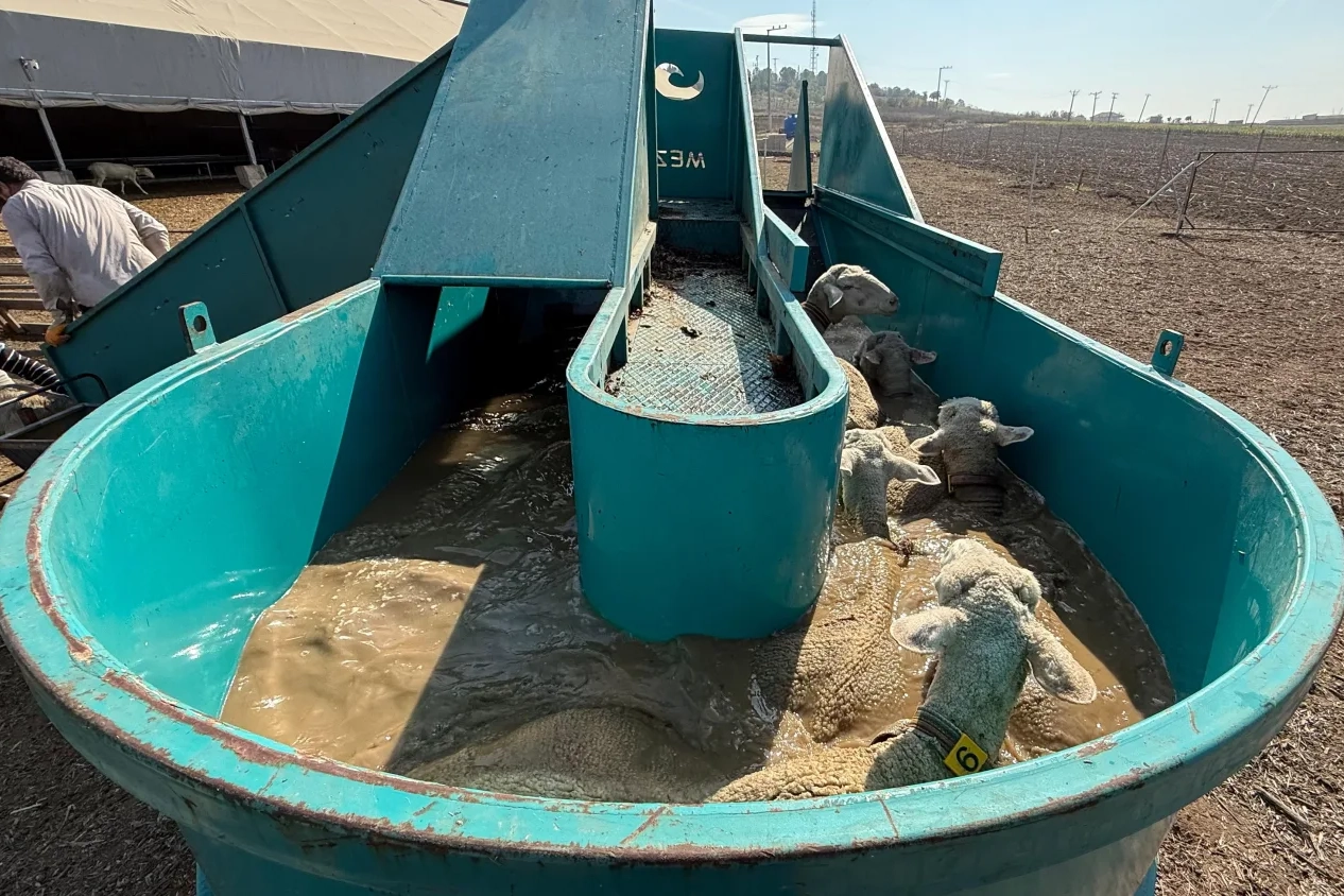 Bursa'da 'Tarımda İnegöl Modeli' ile kırsal kalkınmaya tam destek