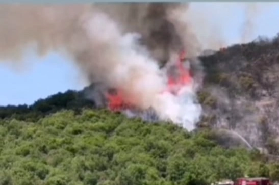 Bursa'da Yenişehirli çiftçilerden yangın seferberliği