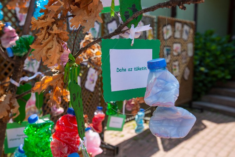 Bursa Hayvanat Bahçesi'nde 'çevre' temalı buluşma