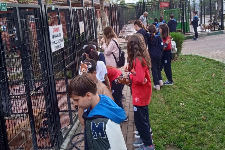 Bursa Osmangazi'de çocuklara hayvan sevgisi aşılanıyor