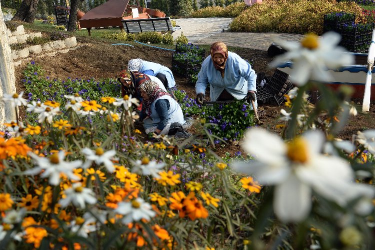 Bursa Osmangazi'nin 'Macera Bursa'sında kış çiçekleri