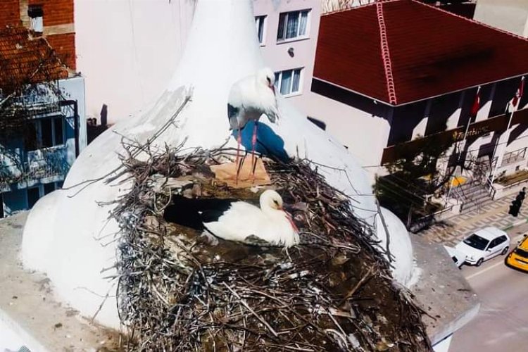 Bursa Yenişehir'de Şungar çifti geleneği bozmadı