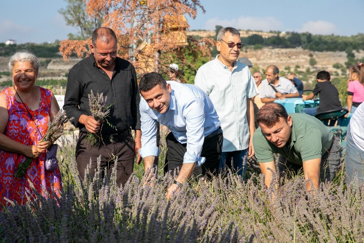 Çaltıbozkır'da Lavanta Hasat Şenliği coşkusu