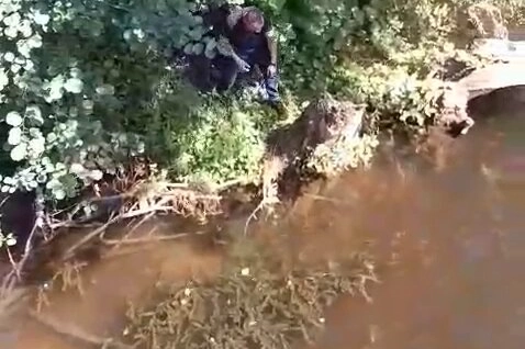 Çatalca'da mahsur kaplumbağa itfaiye tarafından kurtarıldı