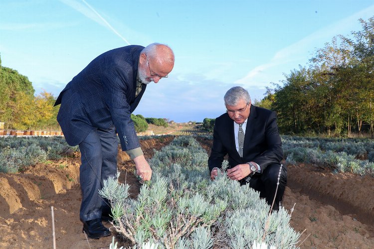 Cumhurbaşkanı Başdanışmanı Kasırga Sakarya'da