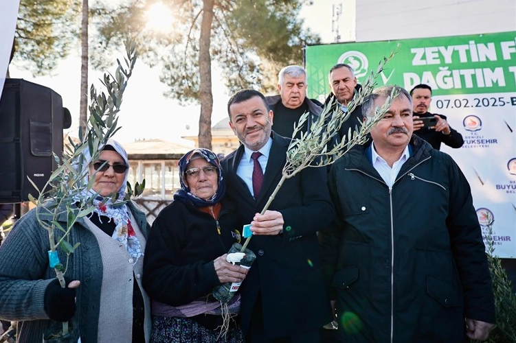 Denizli'de üreticiye 100 bin zeytin fidanı desteği