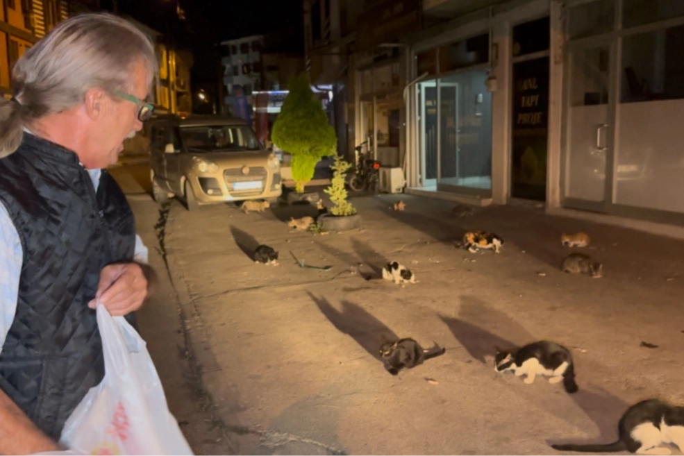 Düzce'de kendini kedilere adadı!