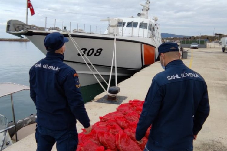 Edirne'de kaçak avlanan akivadesler doğaya bırakıldı