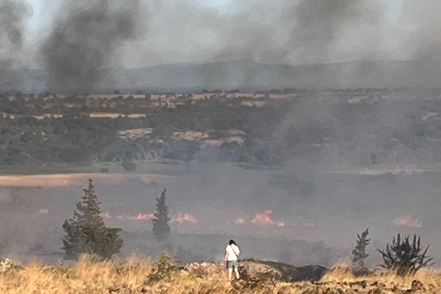 Enez'de orman yangını paniği... Gülçavuş sahili boşaltılıyor
