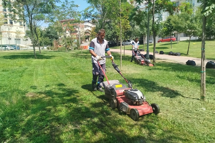 Gebze Tatlıkuyu Vadisi Kent Parkı'na düzenli bakım