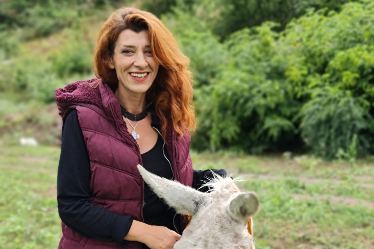 HAYDİKO'dan destek çağrısı