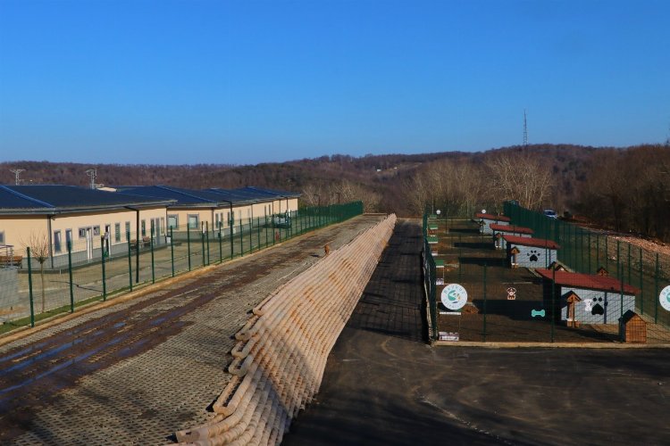 İstanbul Beykoz Hayvan Rehabilitasyon Merkezi'nde 5 yıldızlı konfor