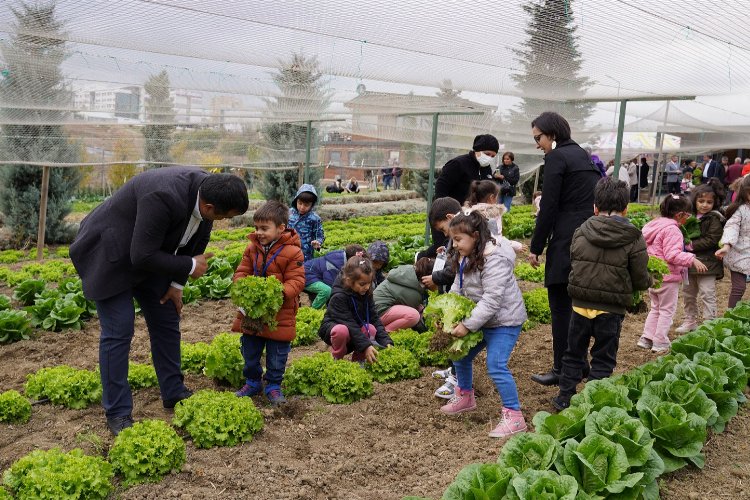 İstanbul Beylikdüzü'nde kış hasadı