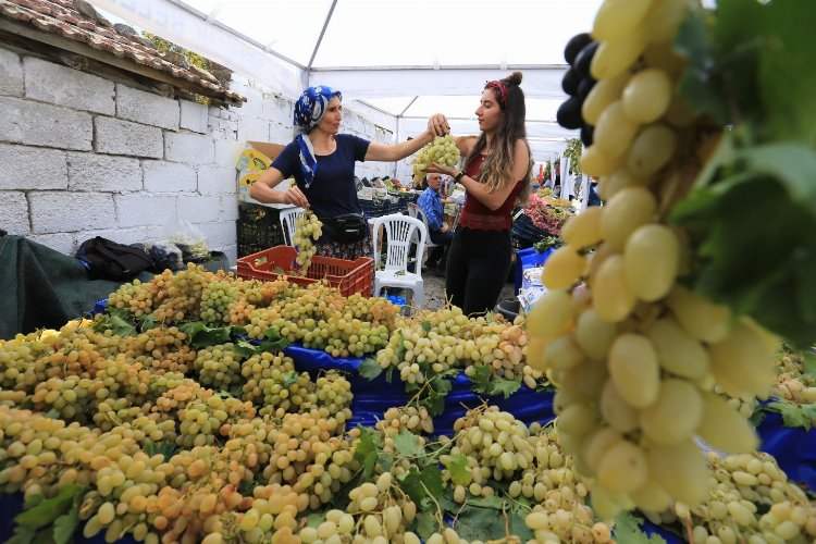 İzmir Efes Selçuk'ta 'şerefine salkım hanım' diyecek