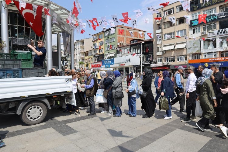 İzmit Belediyesi istiridye mantarı üretiyor, halka ücretsiz dağıtıyor