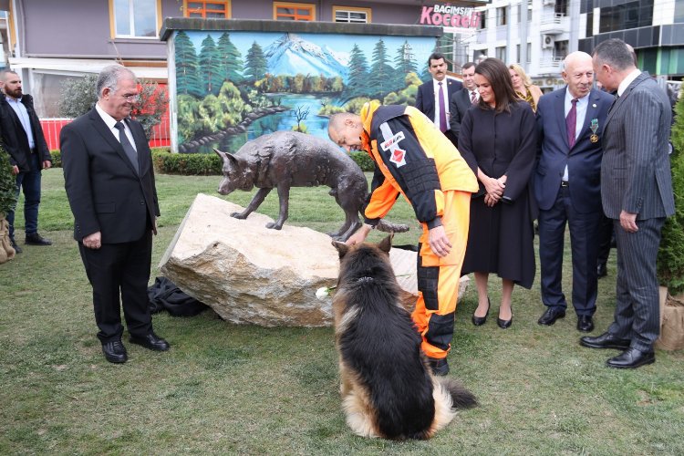 Kahraman köpek Mancs’in anısı İzmit'te yaşatılacak