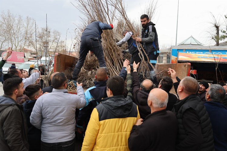 Kayseri Hacılar'dan üreticiye fidan