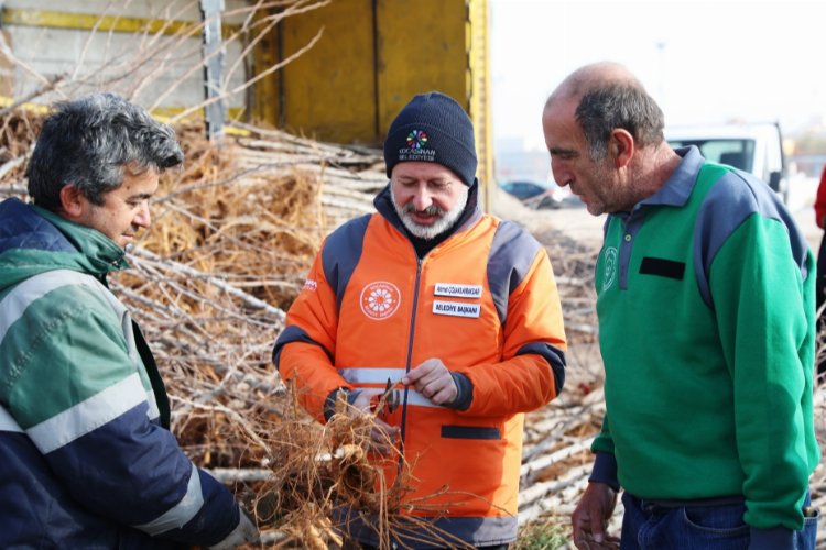 Kayseri Kocasinan'da bahar havası