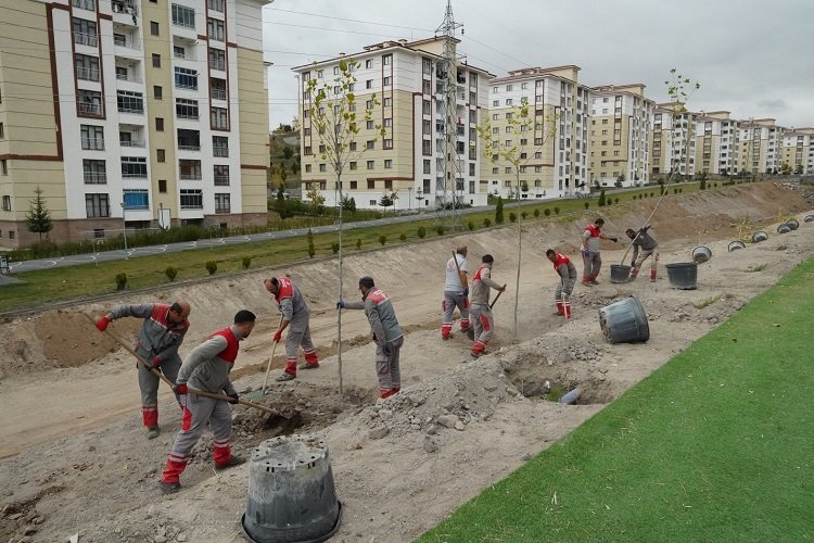 Kayseri Melikgazi'de ilçe yeşile boyanıyor