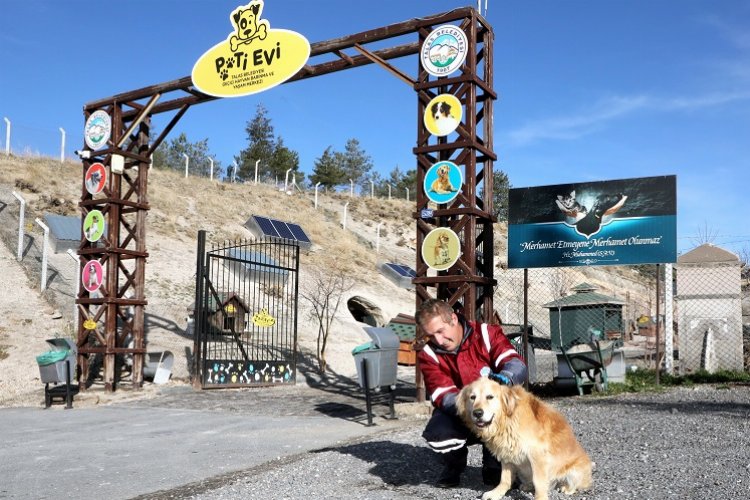 Kayseri Talas'ta can dostlara özel proje