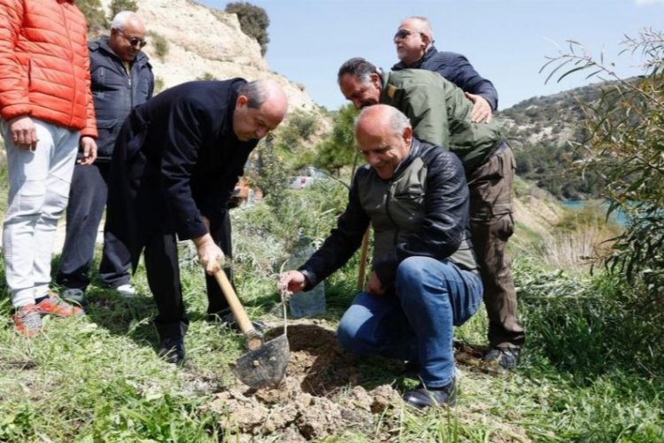 Kıbrıs'ta zeytin fidanı dikerek, yuva sahibi oldular