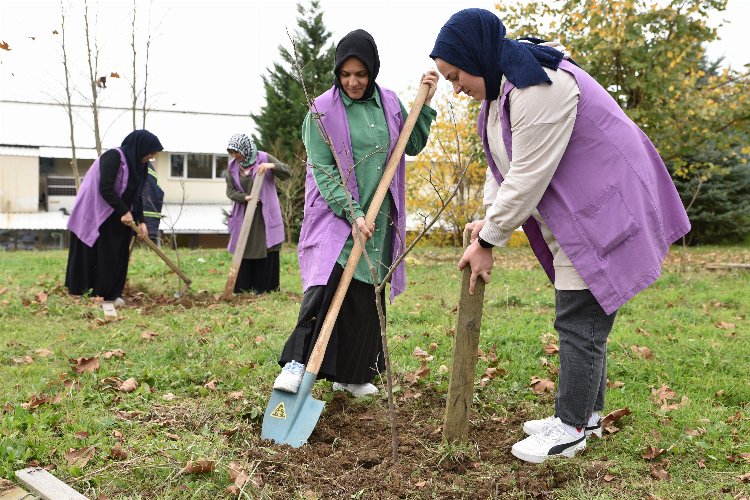 Kocaeli'de Metraco Bizimköy’ü ağaçlandırıyor