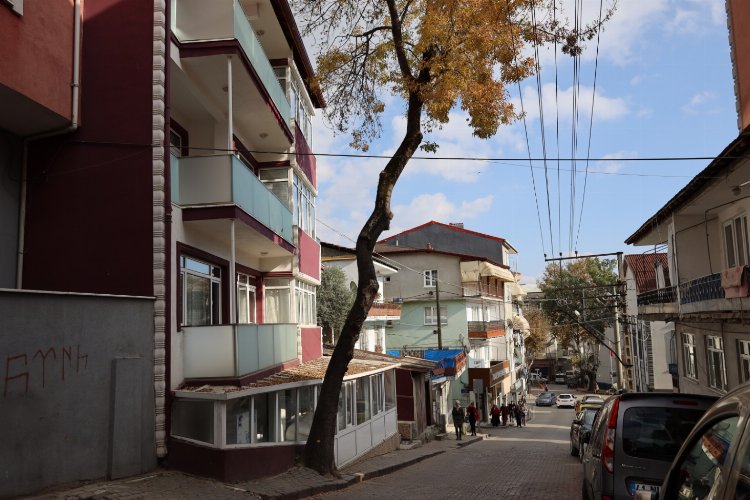 Kocaeli İzmit'te tehlike arz eden ağaçlar için önlem alacak