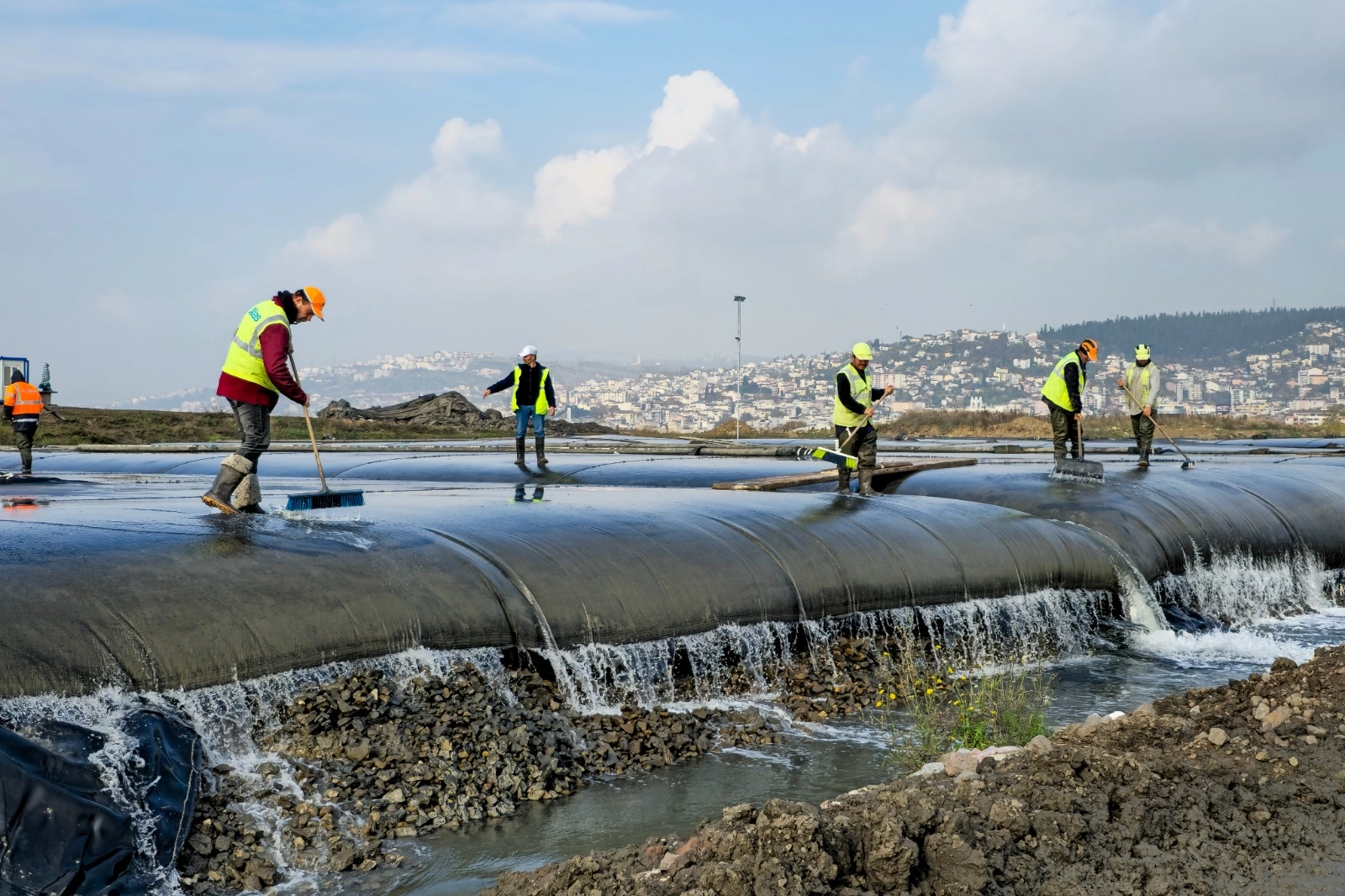 Körfez'de çamur gidiyor, yeni canlılar geliyor