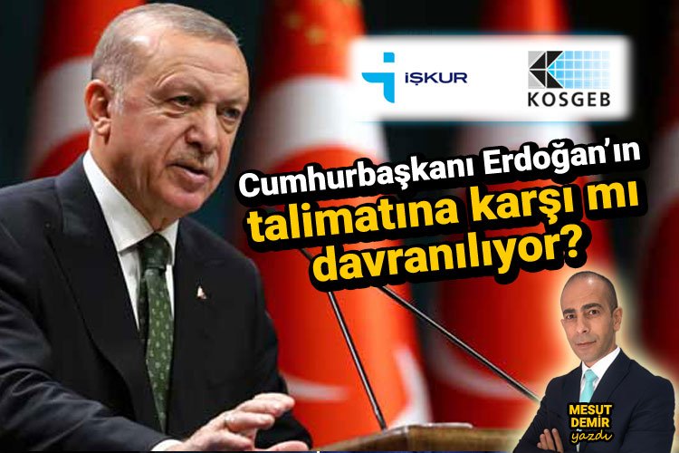 KOSGEB ve İŞKUR, Cumhurbaşkanı Erdoğan'ın talimatına karşı mı davranıyor?