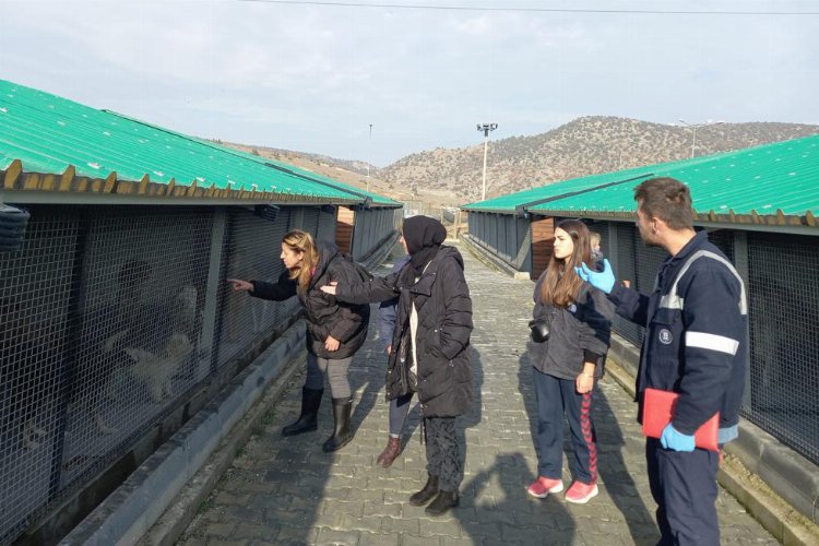 Kütahya'da Sokak Hayvanları Bakımevi'ne ziyaret