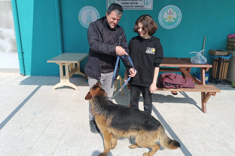 Manisa'da bir can dostu daha yeni yuvasında