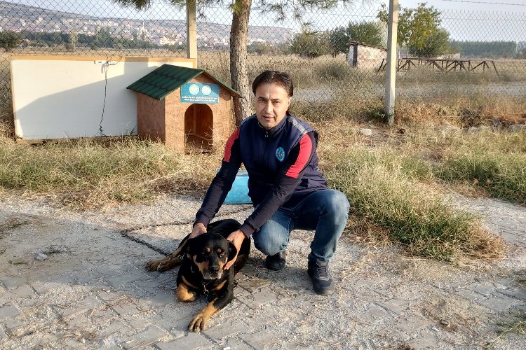 Manisa'da sokakta bir can daha yeni yuvasına kavuştu