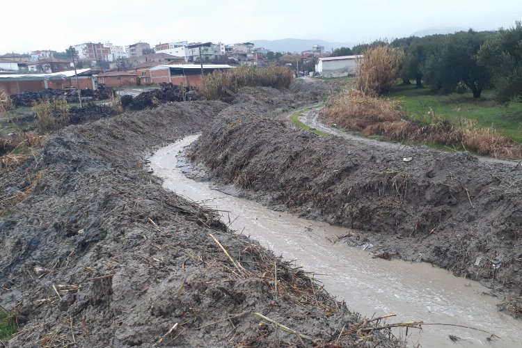 Manisa Zeytinliova’da dere temizliği