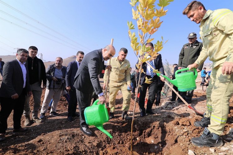 Mardin'de 23 bin 700 fidan toprakla buluştu