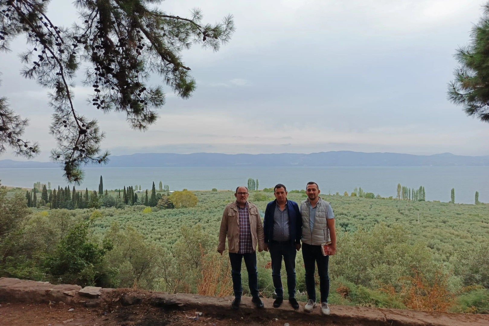 Marmarabirlik’ten 'anıt zeytin ağaçları'na özel marka vizyonu