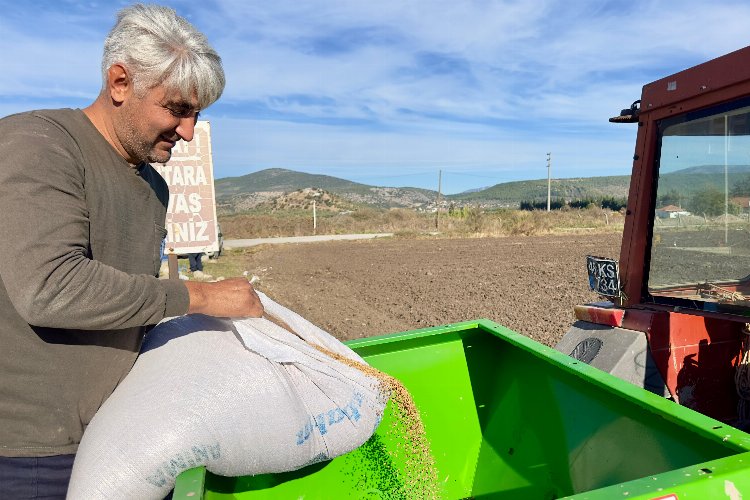 Milas'ta ata tohumları toprakla buluştu